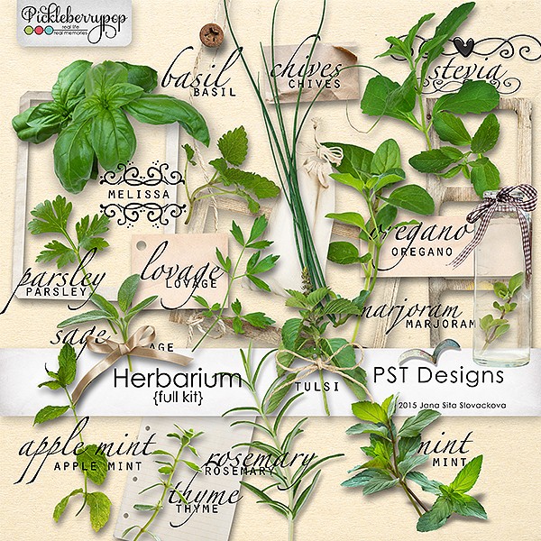 Herbarium - layouts gallery _previ12
