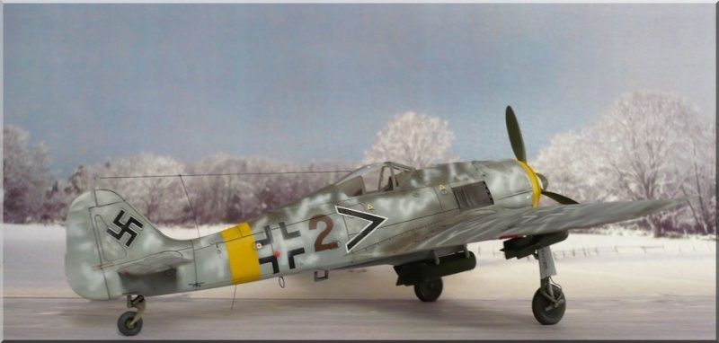 FW-190 F8, front de l'Est 1945 8610