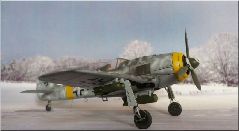 FW-190 F8, front de l'Est 1945 8710