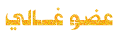 غالى حضن الغريب غالى حضن الغريب