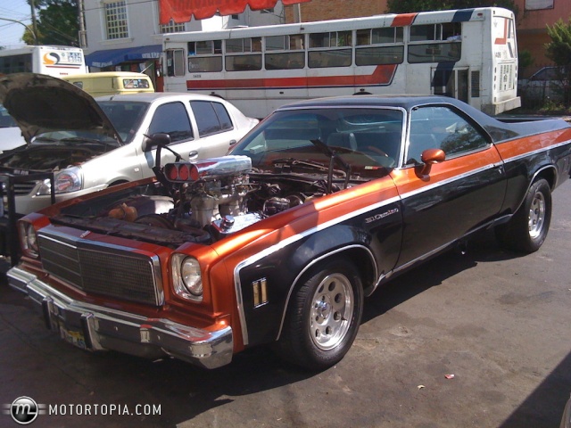 T.W. Bouska's 74 El Camino/My Daily Driver (UPDATED 12/19/10) 05310