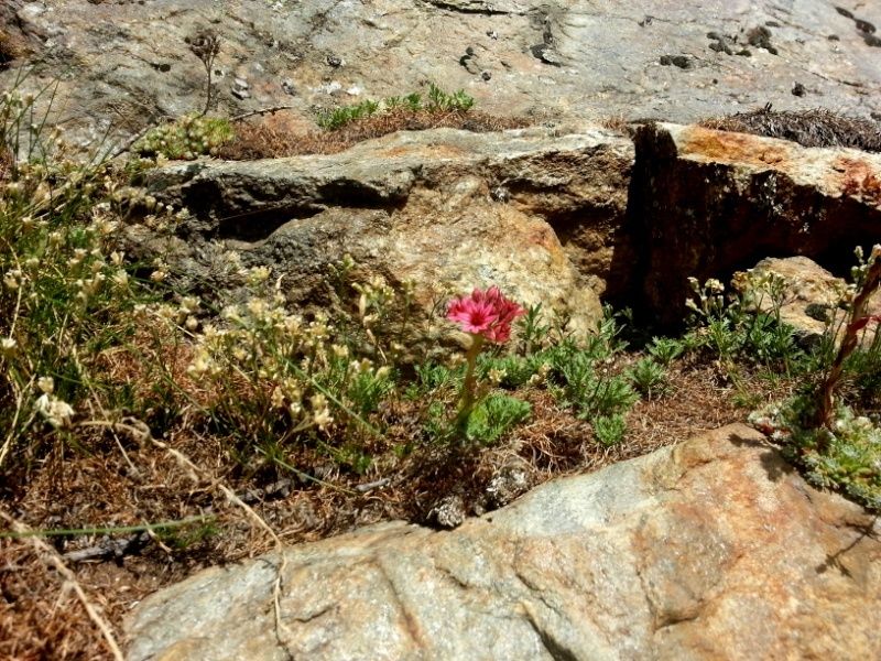 Prarayer, vallée d'Aoste (Italie) 20150845