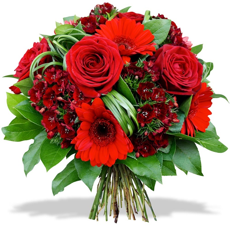 Bon Anniversaire Christine Bon Anniversaire Christine