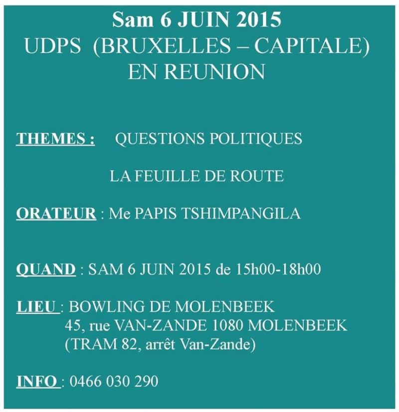 Message de mobilisation au peuple congolais par l'acteur de changement en RDC - Page 4 Udps10