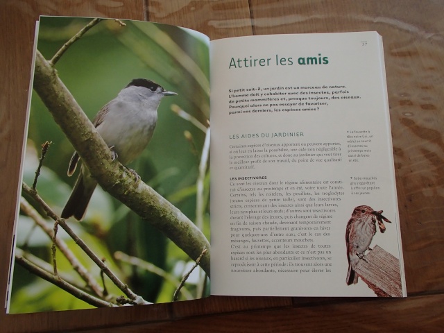 Livres, magazines sur les oiseaux, animaux  P7030012