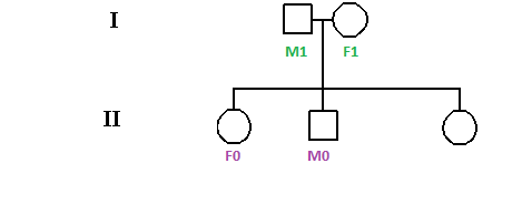 Calcul du coefficient de consanguinité Fryre-10