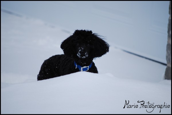 yougi dans la neige / NEW PHOTOS Photo125
