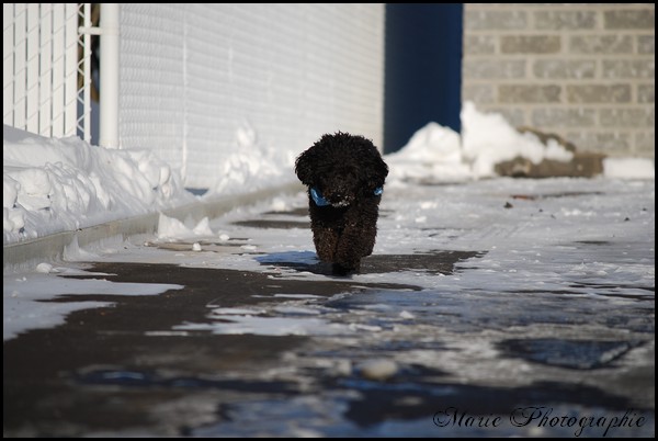 yougi dans la neige / NEW PHOTOS Photo_75