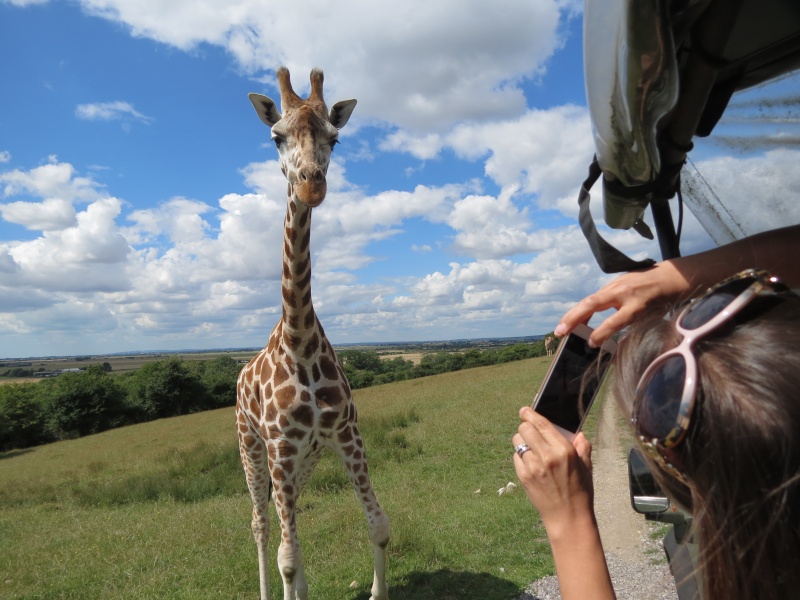 Port Lympne Img_1124