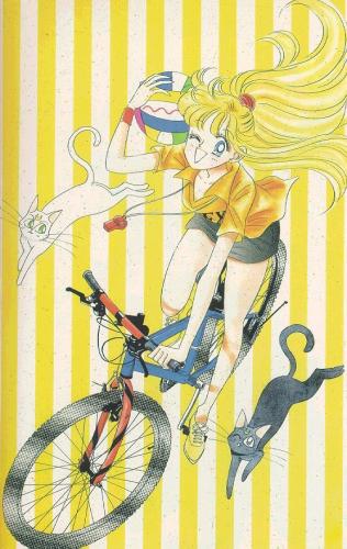 Sailor Moon en général ! U4dgmn10