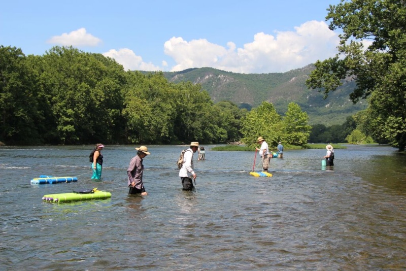 Mountain stream collecting in Virginia-- Potomac Viewing Stone Group & Royal Rockhounds 2015_011