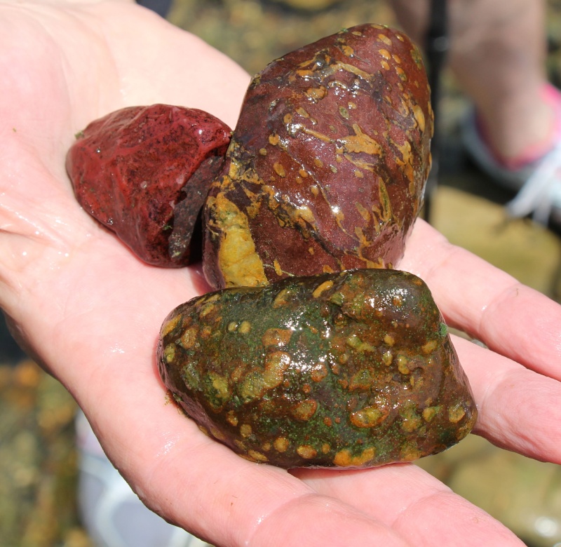 Mountain stream collecting in Virginia-- Potomac Viewing Stone Group & Royal Rockhounds 2015_012