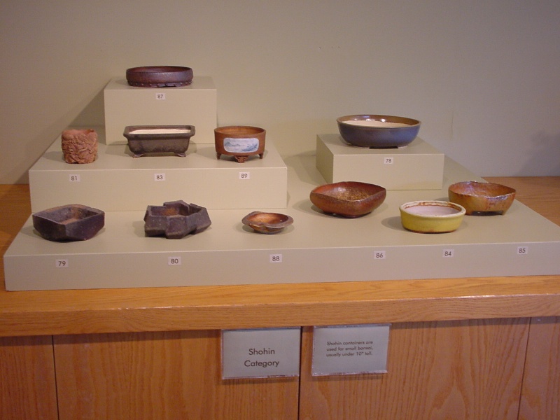 3rd National Juried Bonsai Pot Exhibition Dsc00011