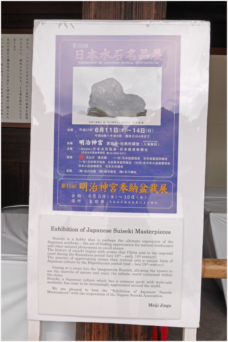 Nippon Suiseki Meihinten 2015 (55th)- photos by Jeff Amas Poster10