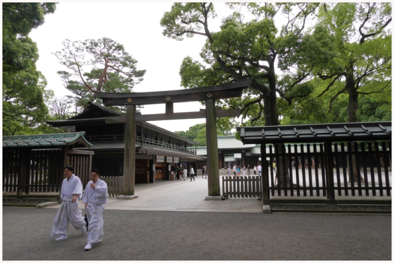 Nippon Suiseki Meihinten 2015 (55th)- photos by Jeff Amas Shrine10