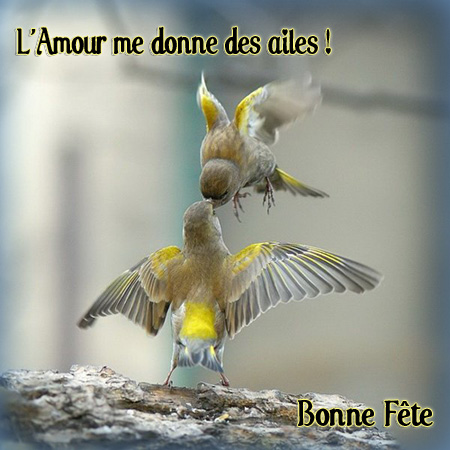 fête de l'amour Oiseau10
