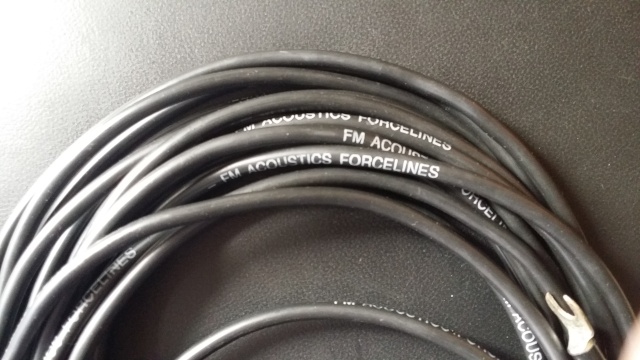FM Acoustics Forcelines (Used)reserved 20150622