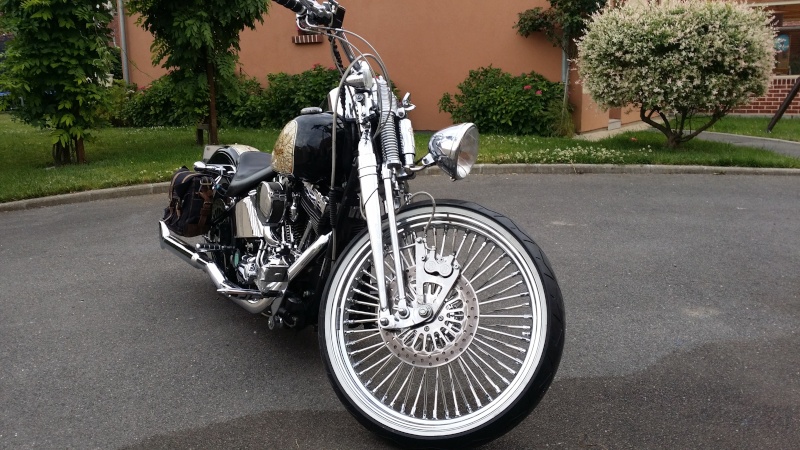 softail springer 1450 carbu 100eme anniv de dave80100 - Page 13 23611