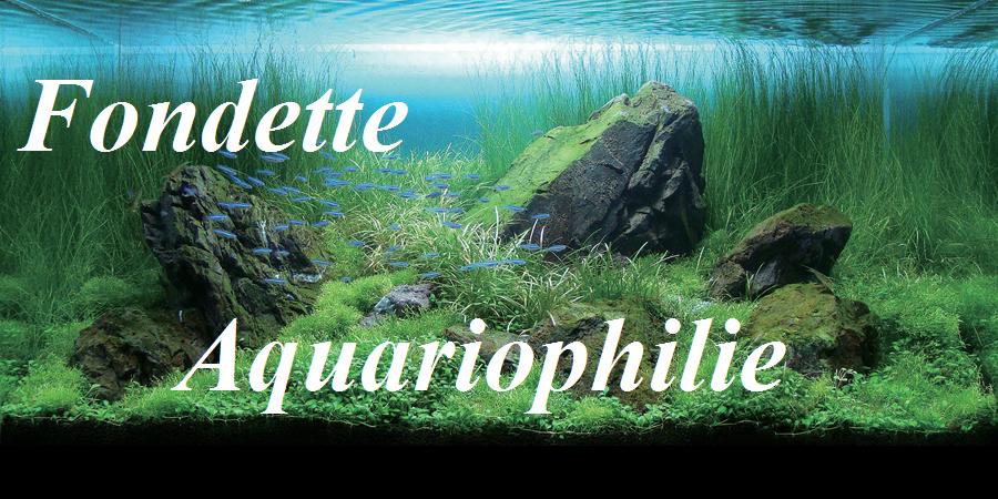 Fondette Aquariophilie 