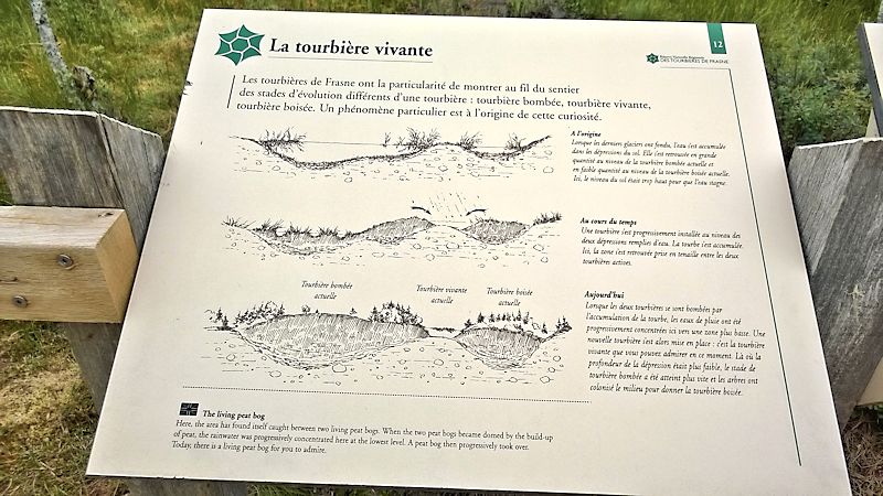 Les tourbières de Frasne dans le Doubs Frasne17