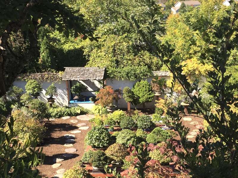 INTERNATIONAL BONSAI ARBORETUM 2015 AUTUMN HOUSE & SALE 111