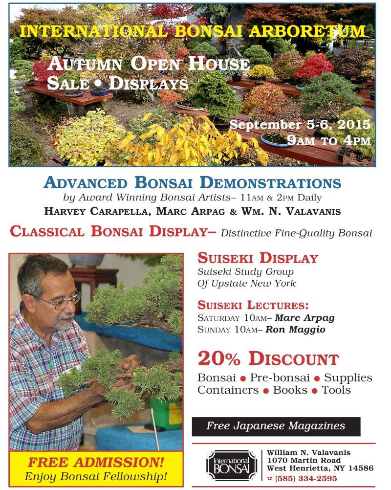 INTERNATIONAL BONSAI ARBORETUM 2015 AUTUMN HOUSE & SALE 2015_a11