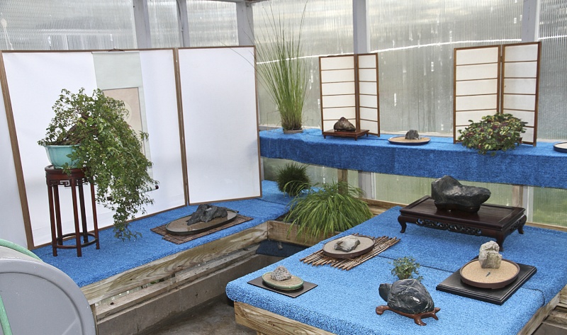 INTERNATIONAL BONSAI ARBORETUM 2015 AUTUMN HOUSE & SALE 411