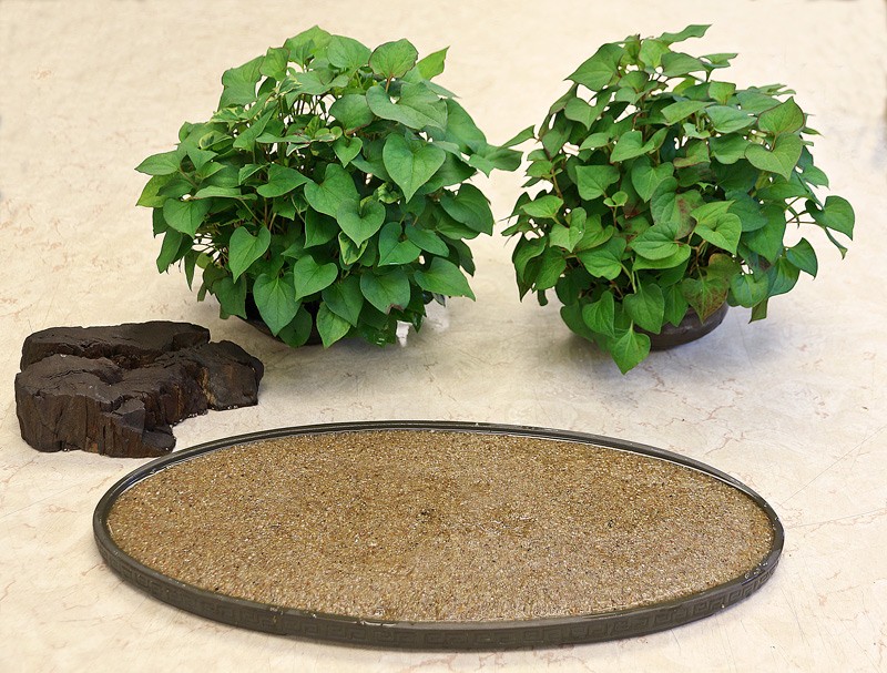 SUMMER BONSAI DISPLAY Compan10