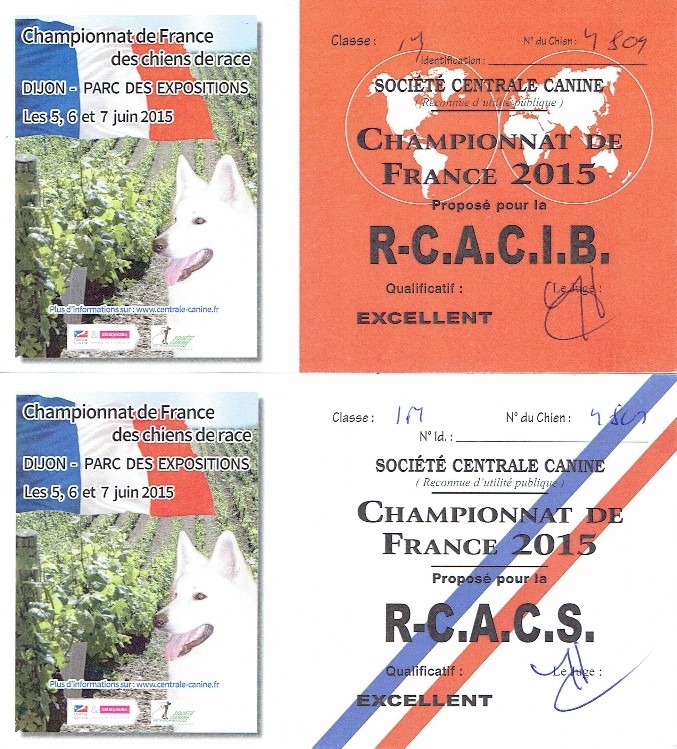 CHAMPIONNAT DE FRANCE 2015 Ccf08017