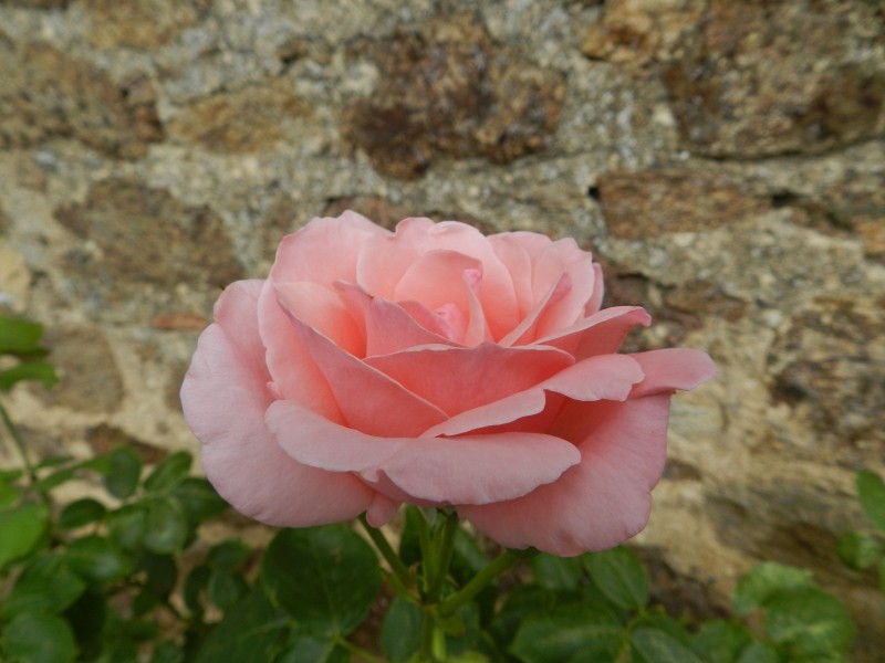 Samedi 20 juin 2015, l'ardèchoise Marcla16