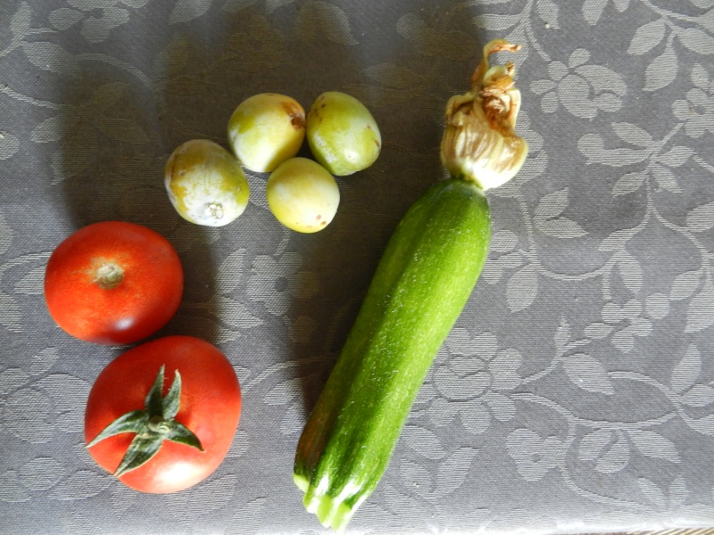 Jeudi 30 juillet 2015 légumes du jardin Vauvyr92