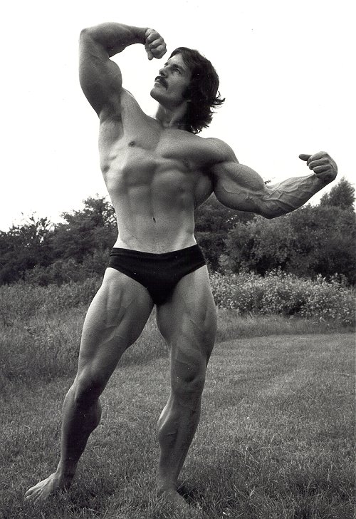 Mike Mentzer - Page 2 09810