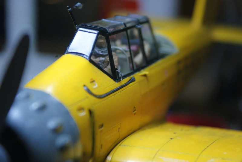 Arado 196 A-3 version "Tintin" - 1/32 - Kit Revell 04688 - Page 11 Dsc05334