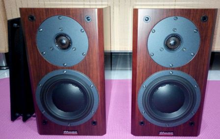 SOLD Dynaudio Focus 110 Speaker (Rosewood) Pic210