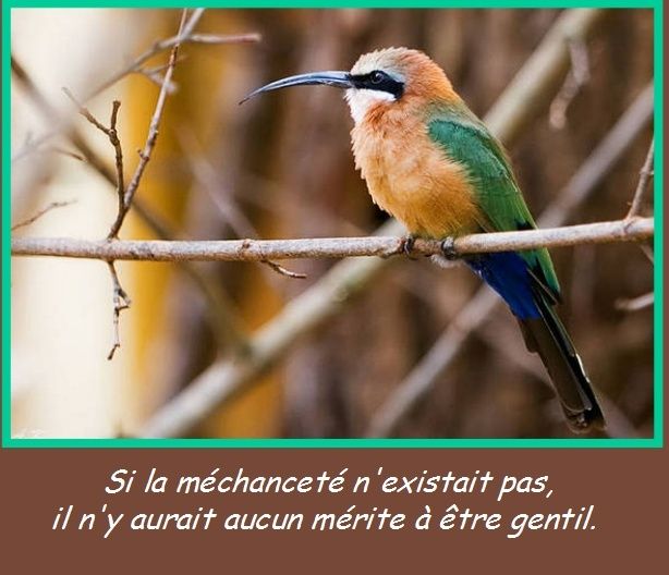 La citation du jour - Page 35 Cit410