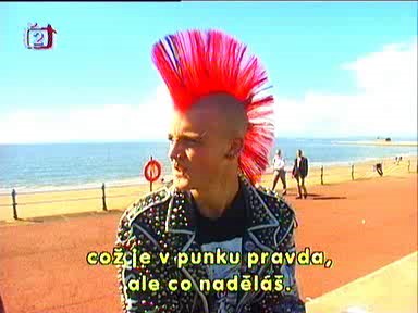 Alternativní kultura - PUNK 38928610