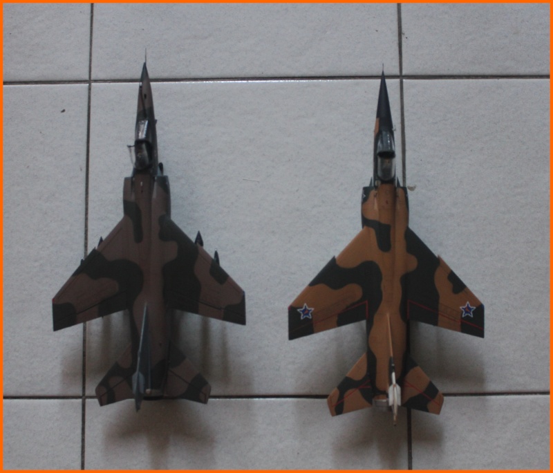 1/48   Mirage F1 CZ  Esci    FINI Img_9314