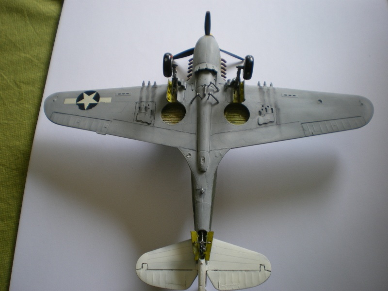 p-40 n warhawk P40_pl11