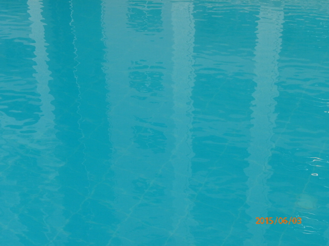 معالجة حمامات سباحة دار الامداد و التموين- القاهره P6030121