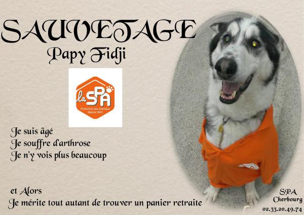 FIDJI type HUSKY 2001 dynamique gentil (m ) SAUVETAGE REFU50 - Page 3 Papy_f10