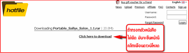 วิธีดาวน์โหลดไฟล์จาก Hotflie 2010-028