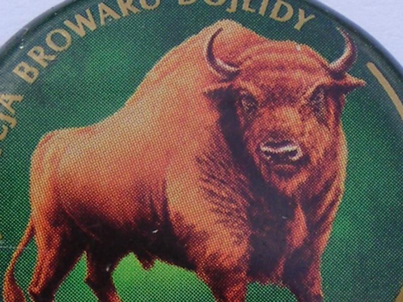 Une histoire de "Bison" Browar Dojlidy Dscf4222
