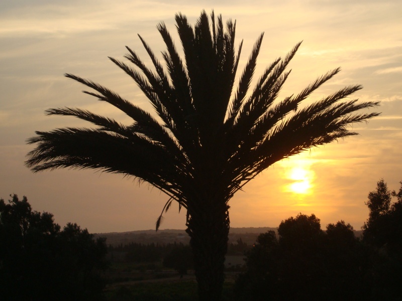 Les couchers du Soleil à Akermoud Akermo16