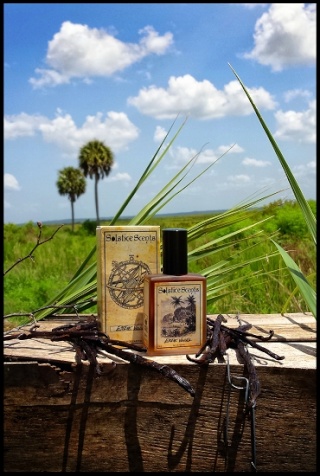 Solstice scents deals