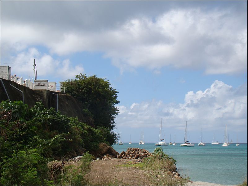 Martinique -le Diamant- le Marin - Page 4 10_jan31