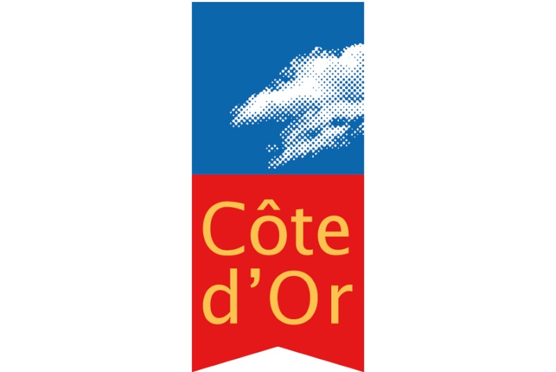 artiste ?? pognon gaspillé? Logocg10