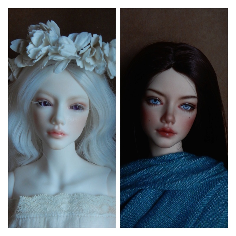 Ma famille de BJD (Souldoll, Fairyland, Raccoon doll) bis - Page 69 Incoll10