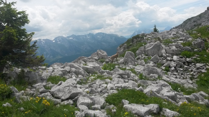 vol rando au grand bornad 20150614