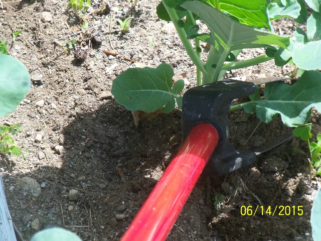 Handy, Unusual Garden Tools and Toys Weeder13