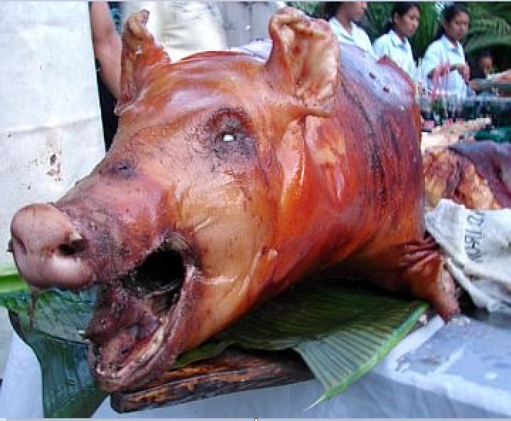 الاعجاز العلمى فى حدر و تحريم لحم الخنزير على المسلمين 5814